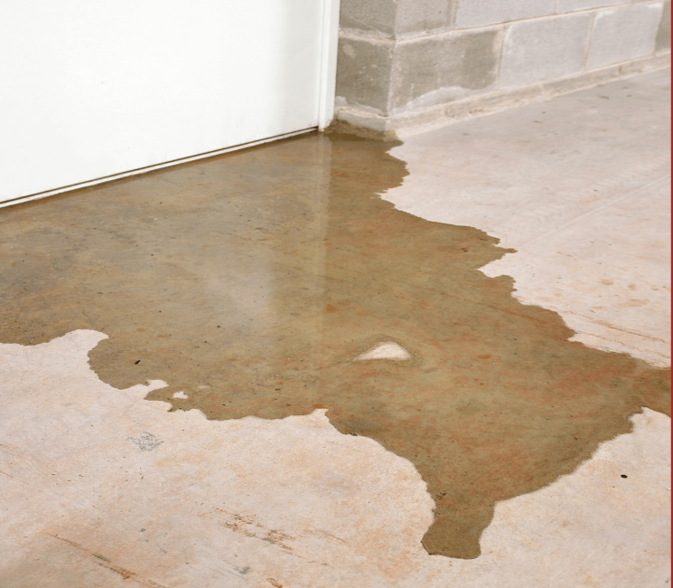 Beginner's Guide to Detecting Slab Leaks